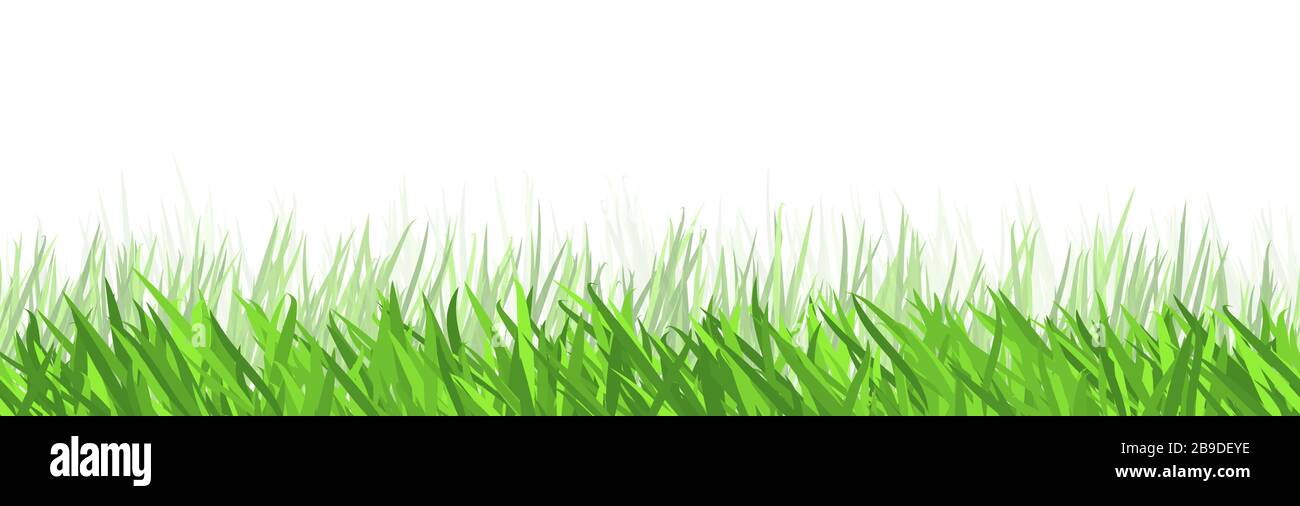 eps vector background template archivo de panorama perfecto verde verano hierba en la parte inferior para los diseños de verano o primavera Ilustración del Vector