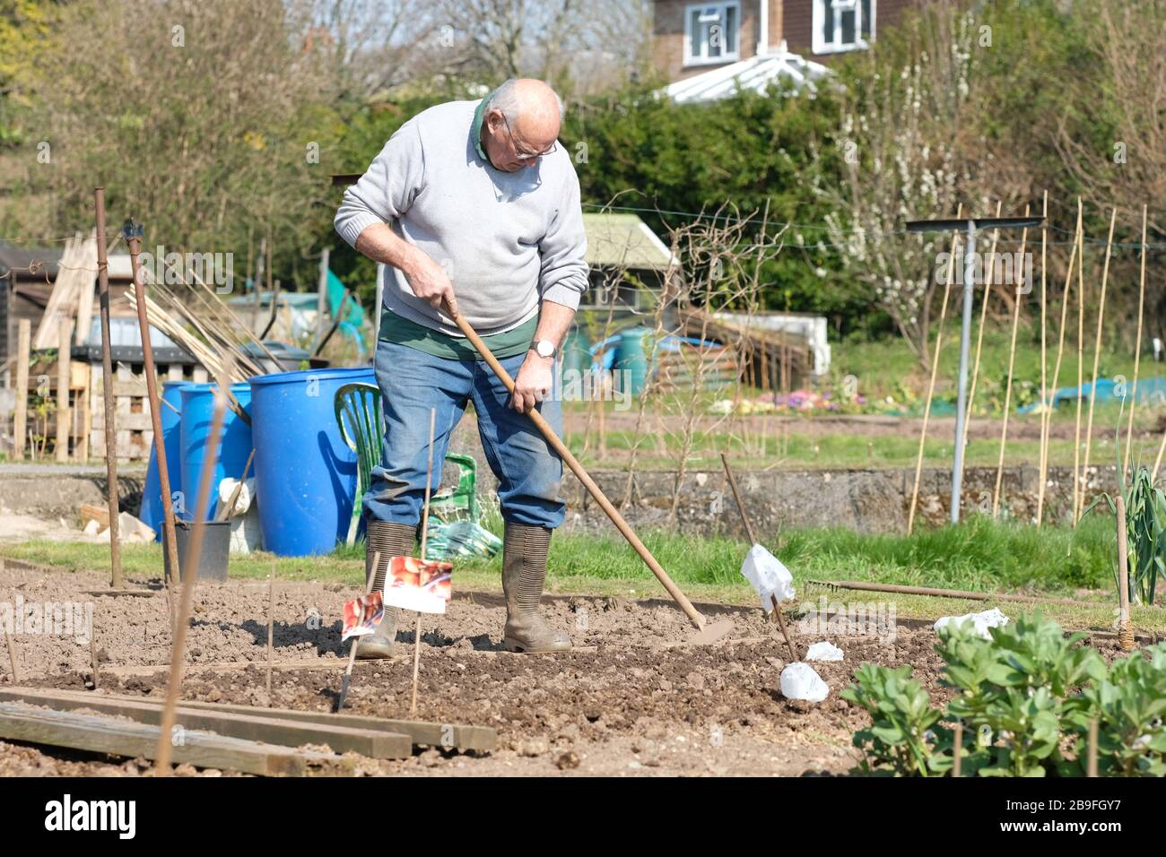 Azadon El Jardin Fotos e Imágenes de stock - Página 9 - Alamy