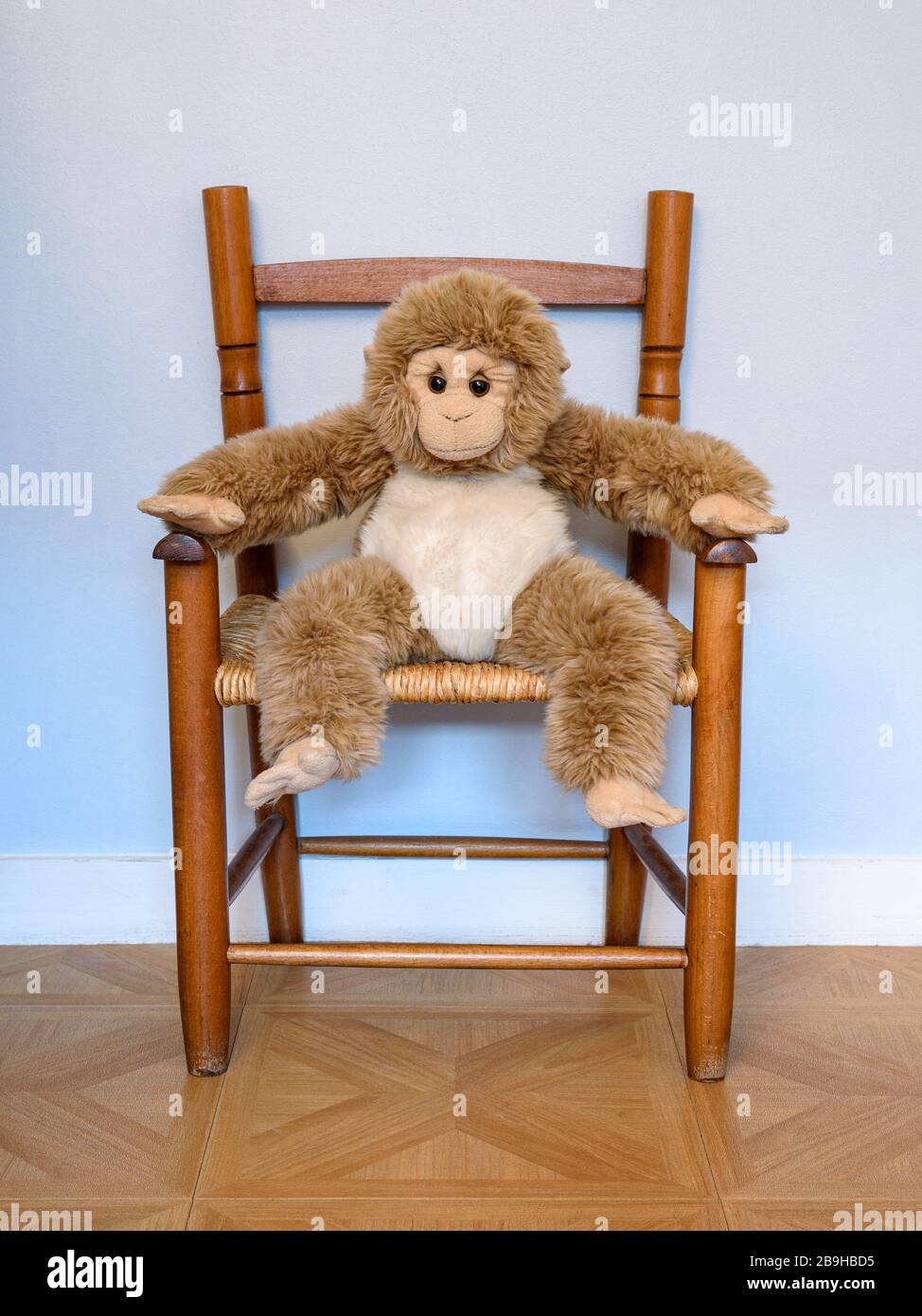 Peluche Mono Peluche Juguete Sentado Pacientemente Imagen de archivo -  Imagen de animal, mascota: 207836563