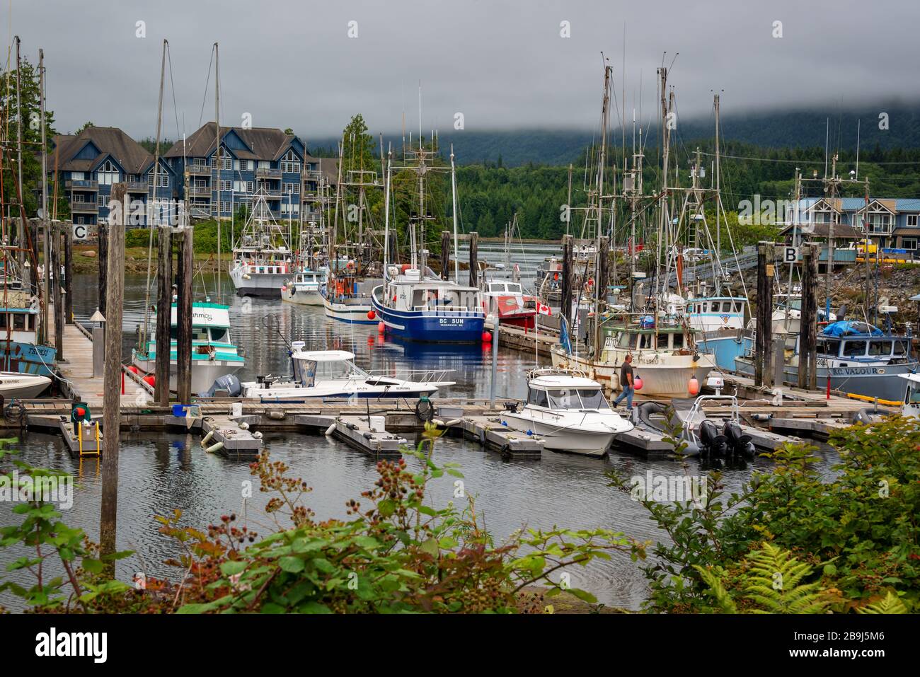 Puerto de Ucluelet cerca de Tofino, isla de Vancouver, Columbia Británica Foto de stock