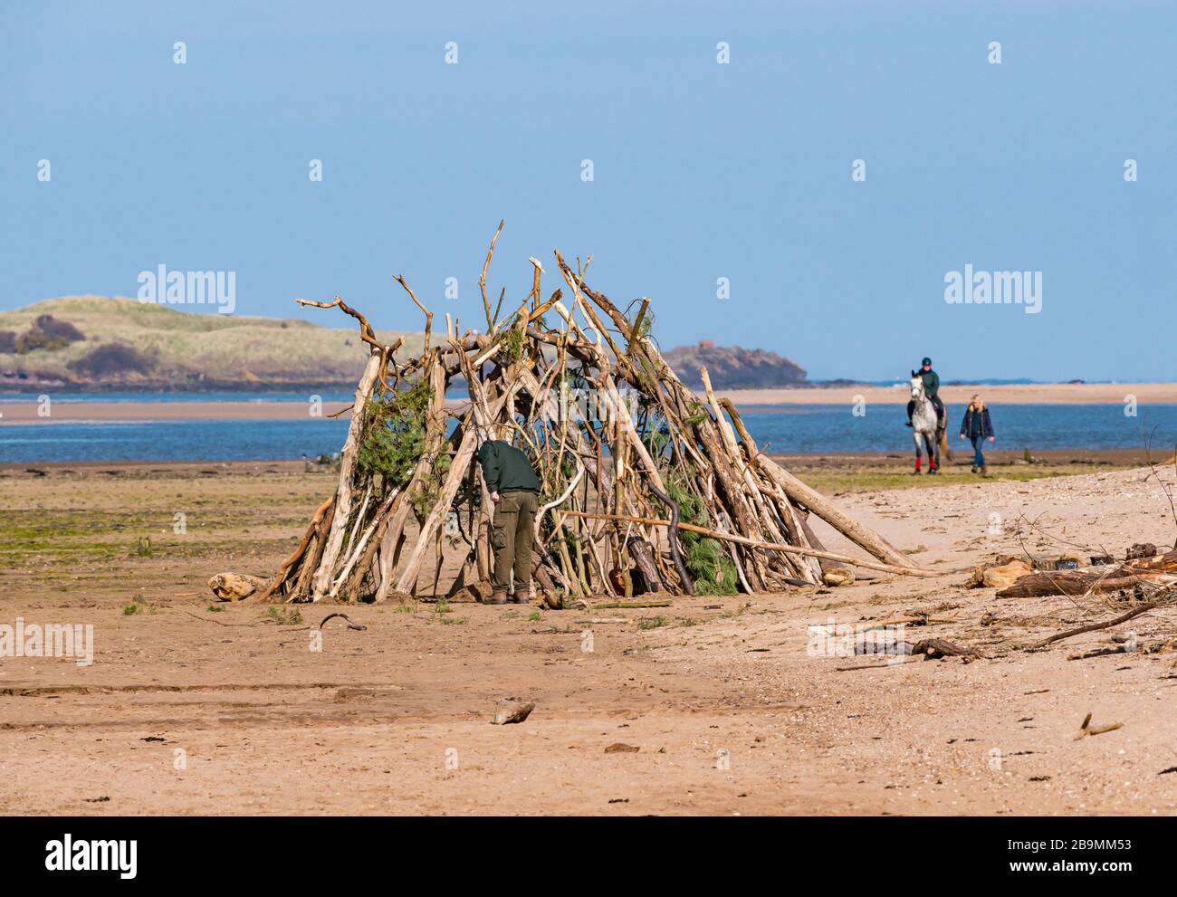 Hombre edificio den de ramas y jinete de caballos en la playa, John Muir Country Park, East Lothian, Escocia, Reino Unido Foto de stock