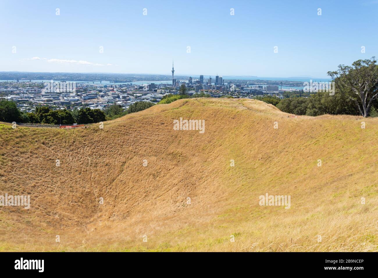 Distrito central de negocios de Auckland desde la cumbre del Monte Eden (Maungawhau), el Monte Eden, Auckland, Nueva Zelanda Foto de stock