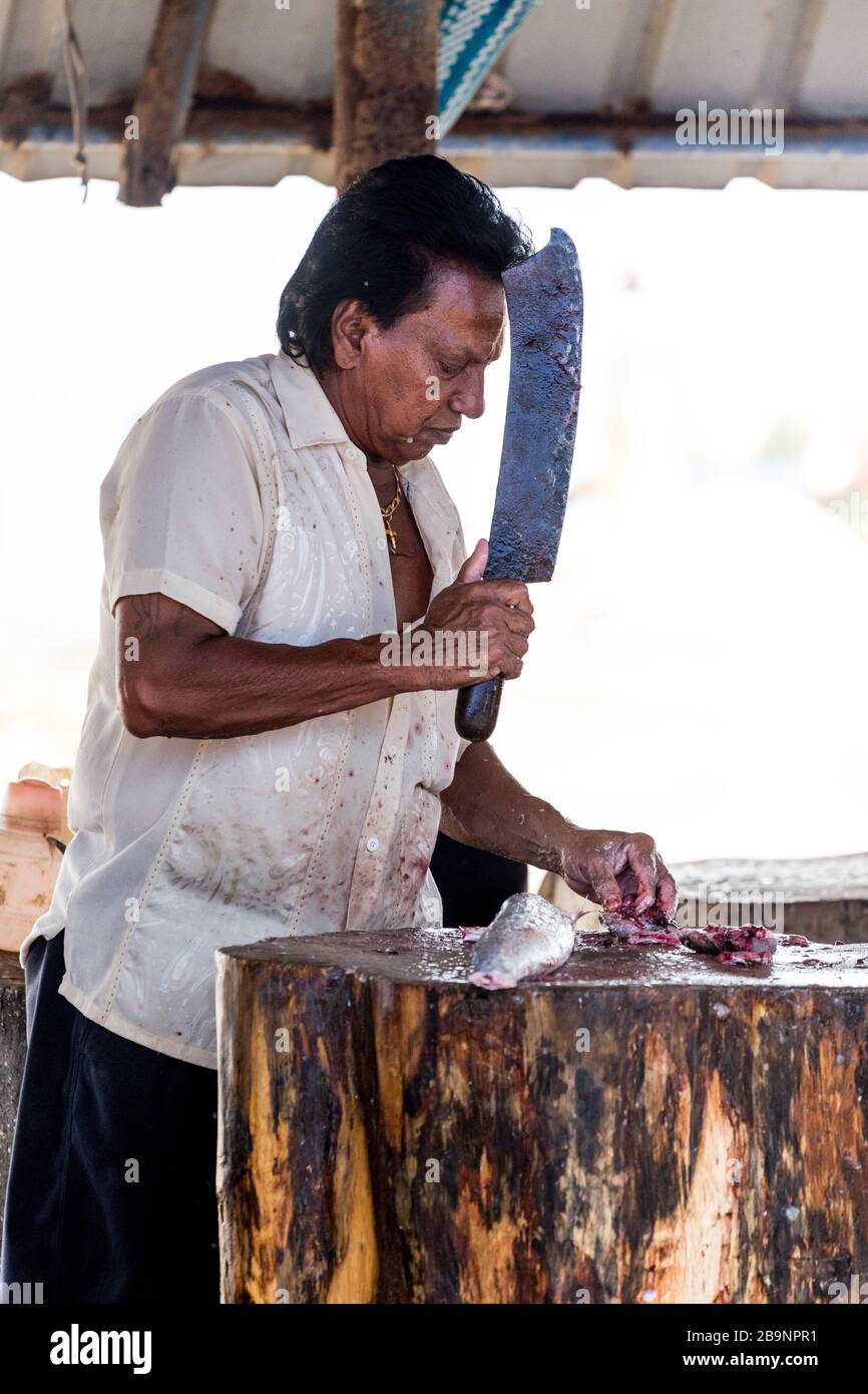 Hombre preparando pescado en el mercado de pescado de Negombo, Sri Lanka Foto de stock