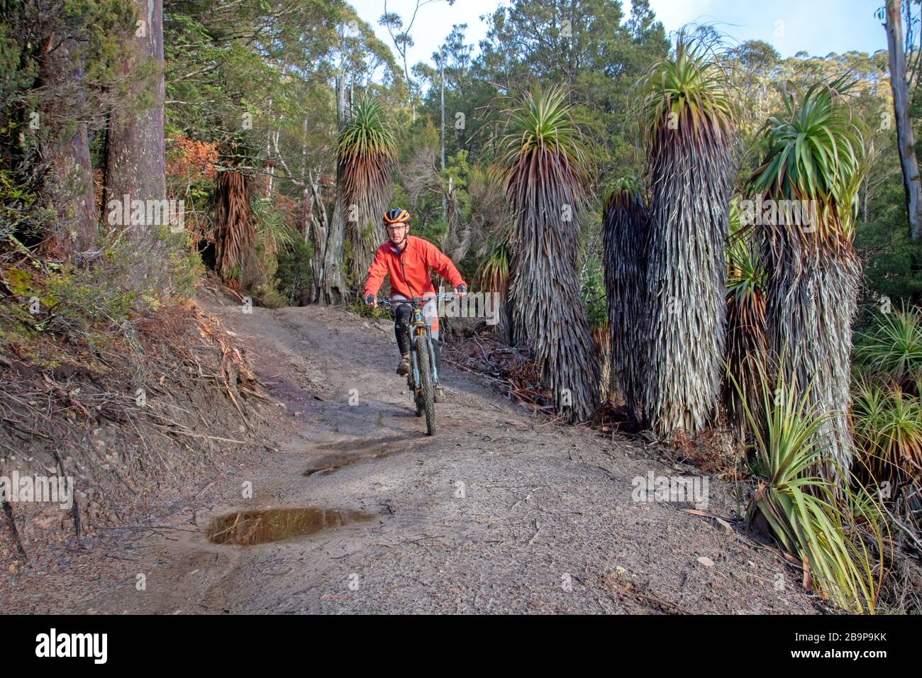 Ciclismo de montaña en el parque de bicicletas Maydena Foto de stock