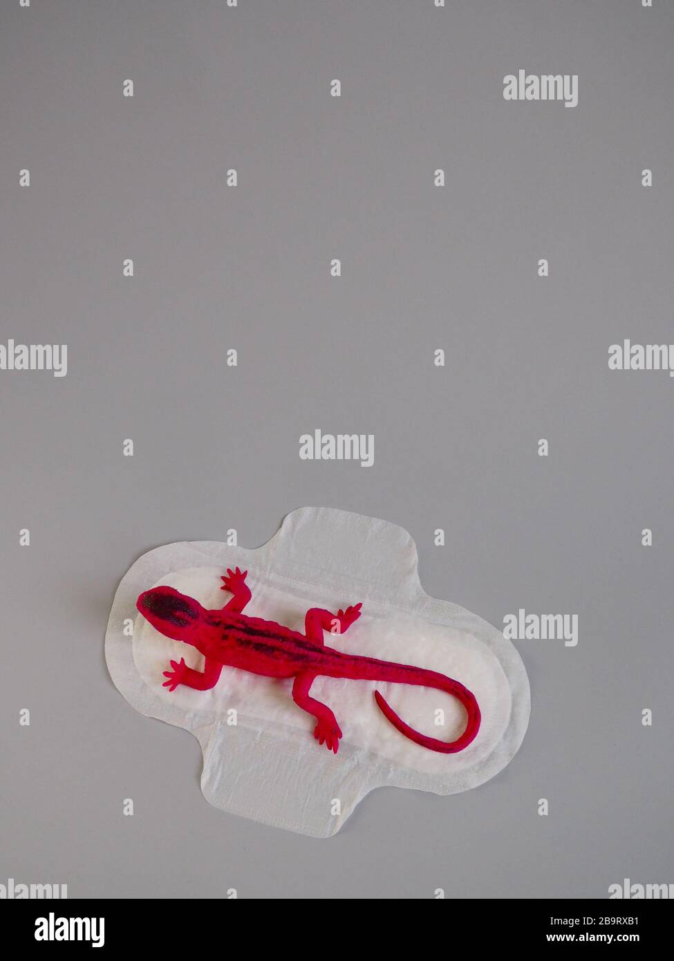 Almohadilla menstrual con lagarto rojo sobre fondo gris. Concepto minimalista de fotografía de la vida fija. Mujeres días críticos, ciclo de menstruación ginecológica. Foto de stock