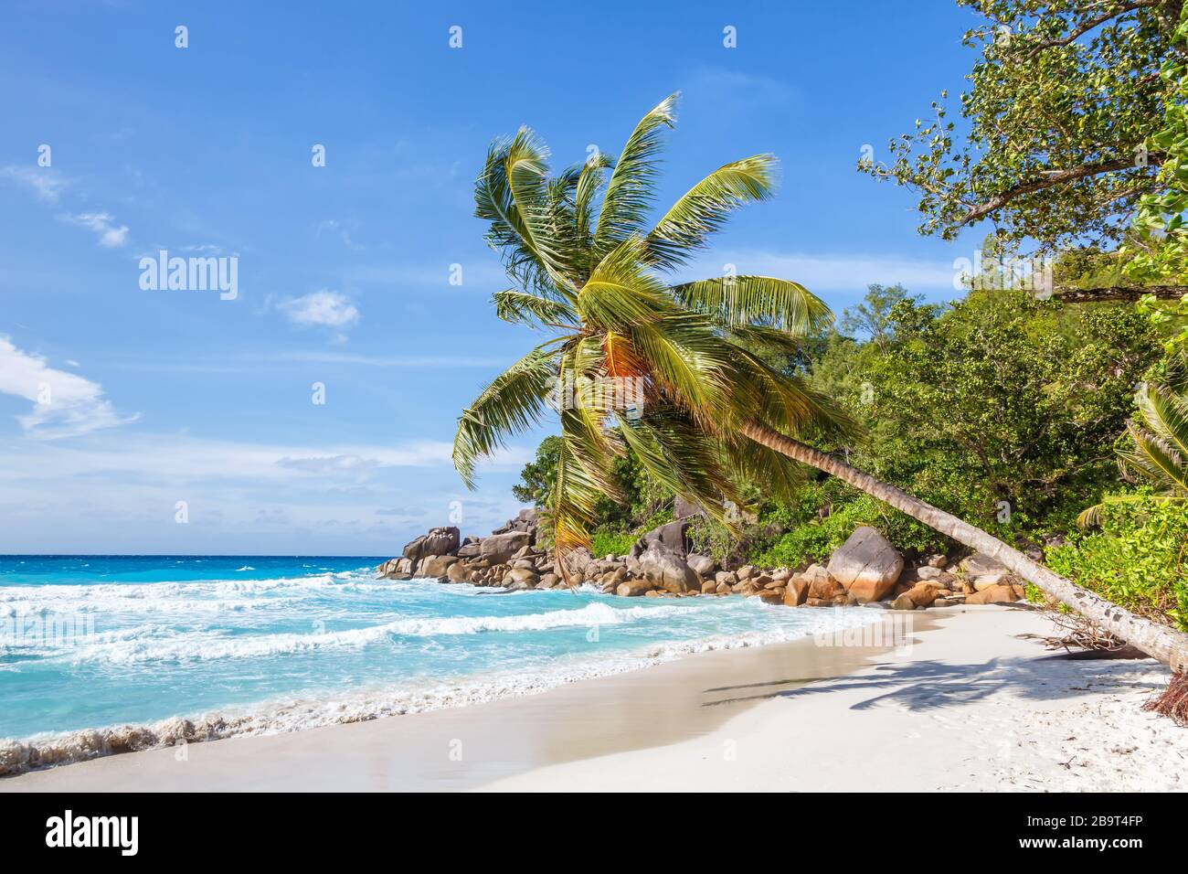 Seychelles Anse Georgette playa Praslin isla palmeras paraíso vacaciones mar agua Foto de stock