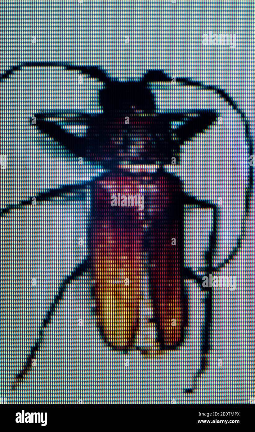 Bicho de escarabajo pixelado en la pantalla digital Foto de stock