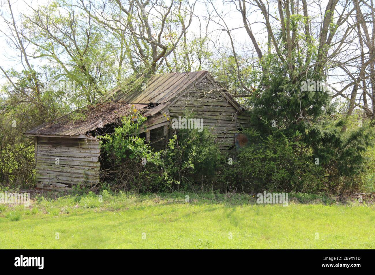 un prado verde con un edificio rural abandonado de granja granero Foto de stock