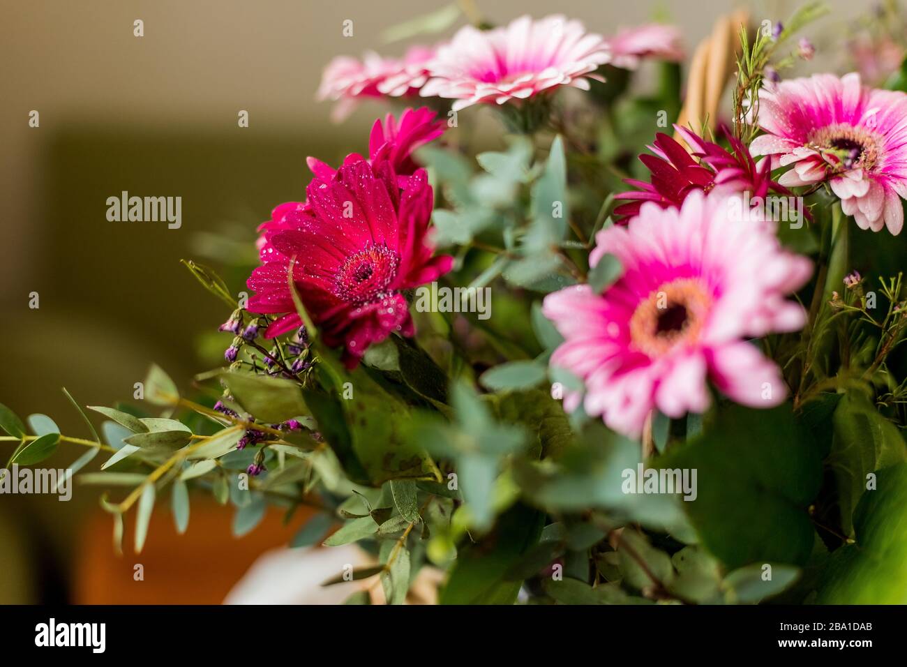 Flores de gerbera rosa sobre fondo vintage de madera blanca. Diseño del día de las madres felices. Flores naturales frescas. Foco en flor de hermoso Fotografía de stock - Alamy Flores de gerbera rosa sobre fondo vintage de madera blanca. Diseño del día de las madres felices. Flores naturales frescas. Foco en flor de hermoso Fotografía de stock - Alamy
