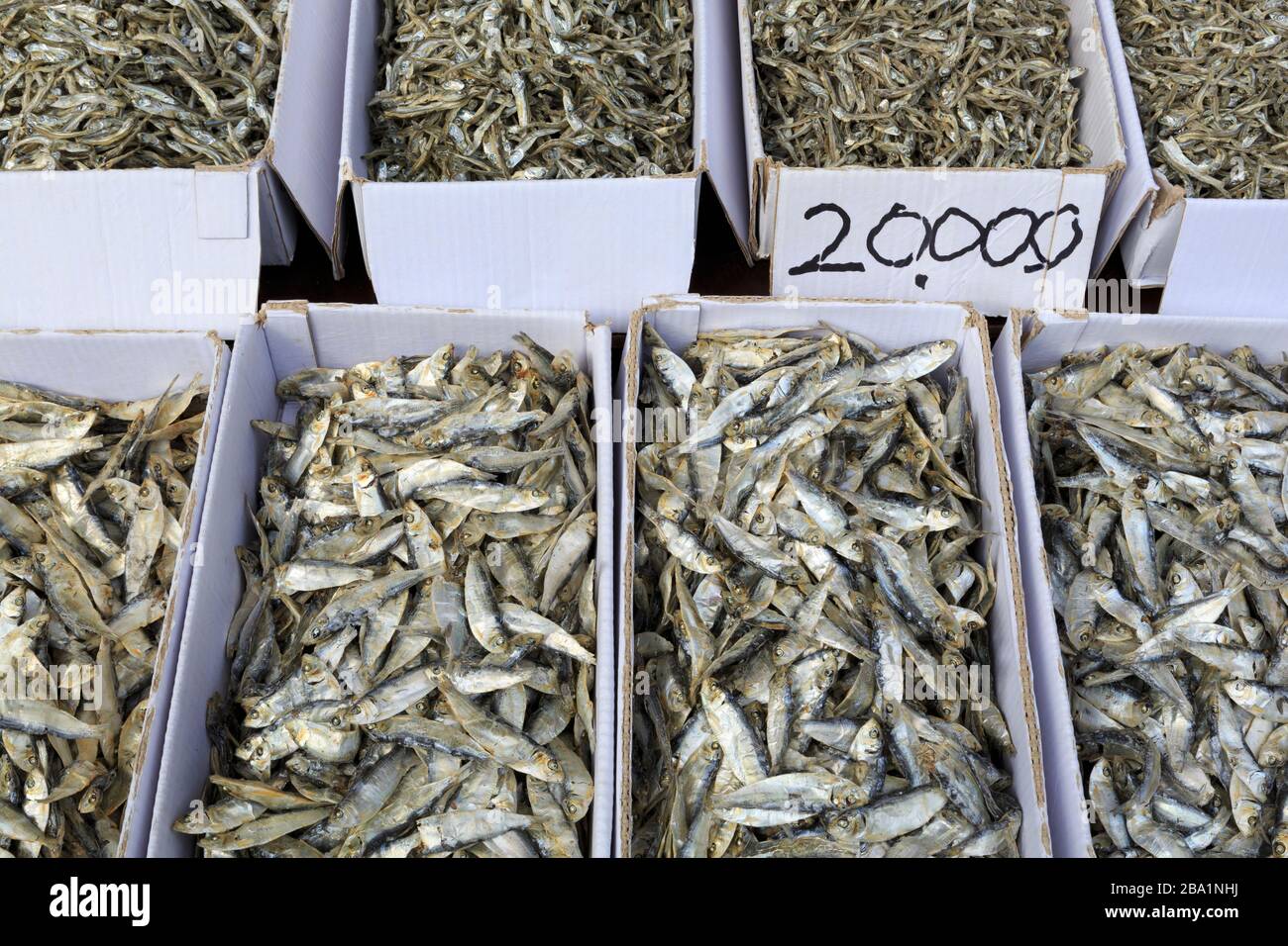 Mercado de Pescado, distrito de Nampo, Busan, Corea del Sur, Asia Foto de stock