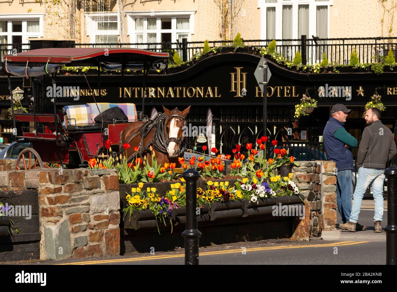 Jarveys esperando a los clientes frente al International Hotel en el centro de Killarney como vista habitual en el condado de Killarney Kerry Irlanda. Foto de stock