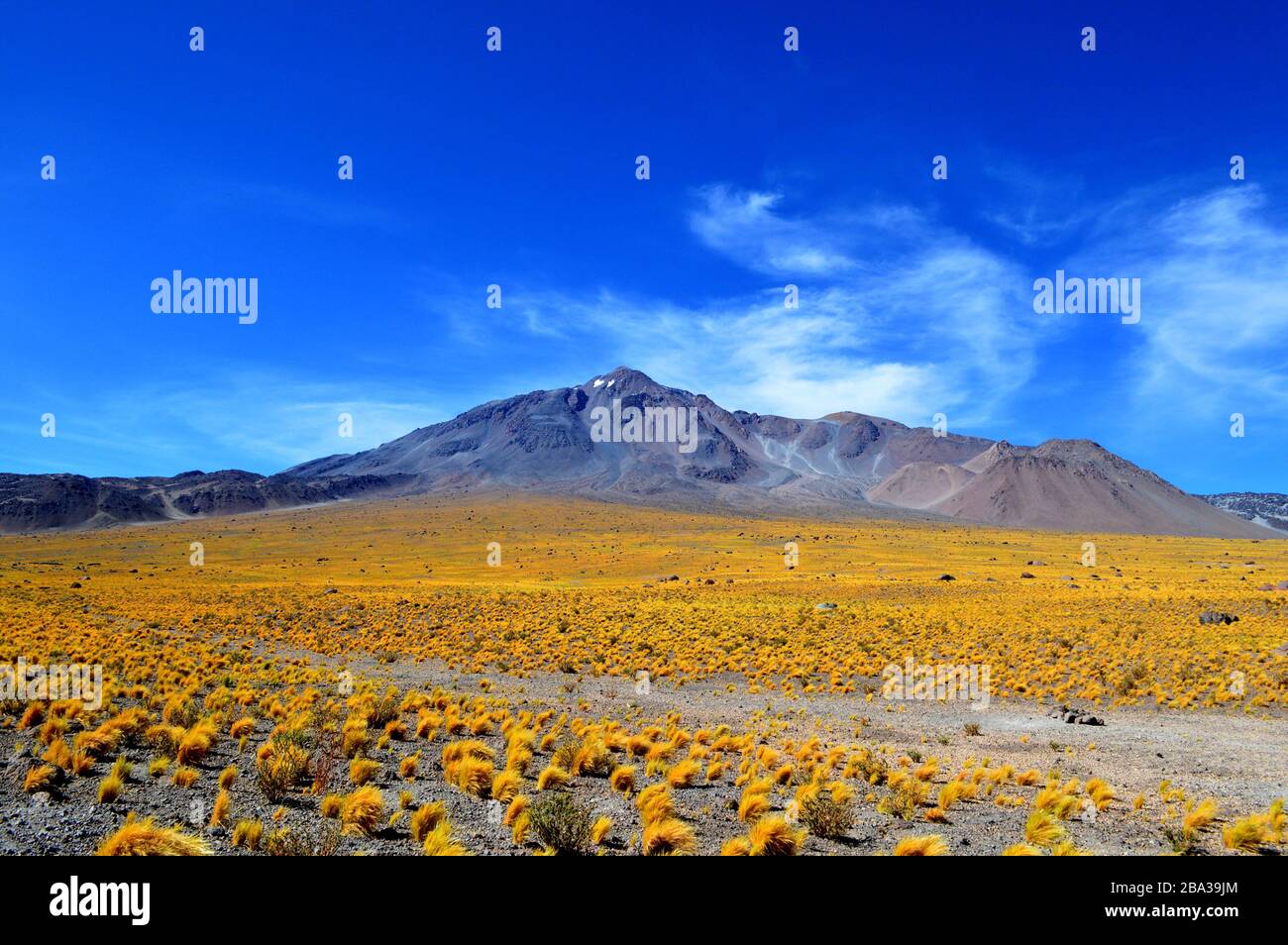 Imponente Vista Del Volc n Socompa En La Provincia De Salta Argentina 