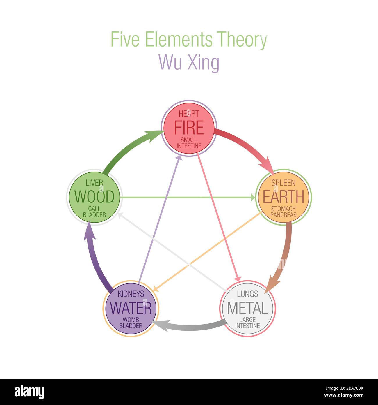 Teoría de cinco elementos Wu Xing Wu Xing en Taoism y TCM, cuadro de 5 elementos de la medicina China tradicional. Ilustración conceptual sobre fondo blanco. Foto de stock