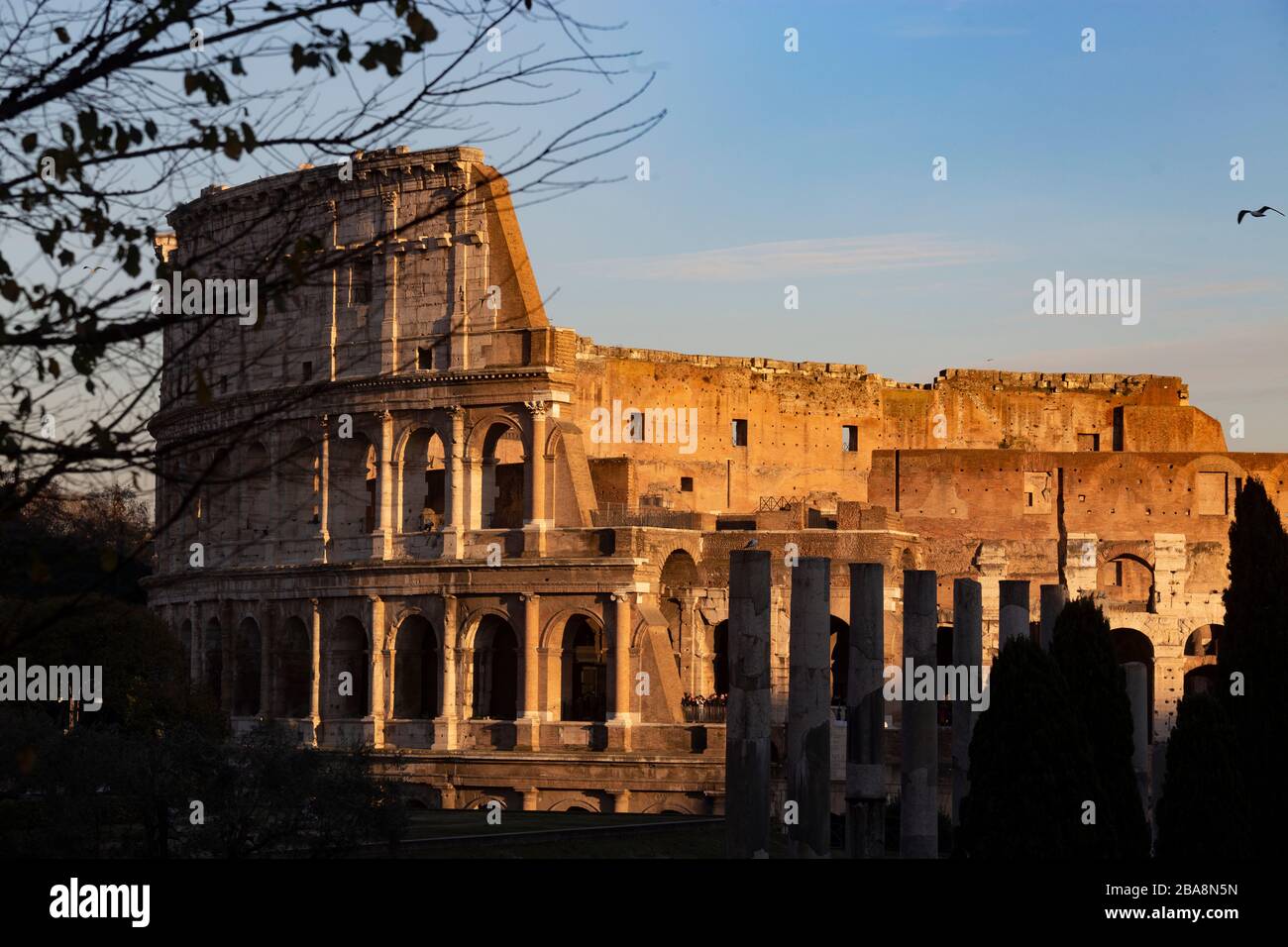 Coliseo de Roma Foto de stock