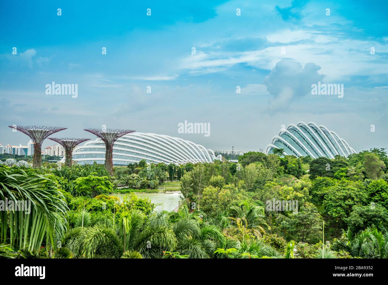 JARDÍN JUNTO A LA BAHÍA / SINGAPUR, 30 DE ABRIL de 2018 - Vista del lugar de interés Supertree en el jardín junto a la bahía es el famoso parque y al aire libre de Singapur Foto de stock