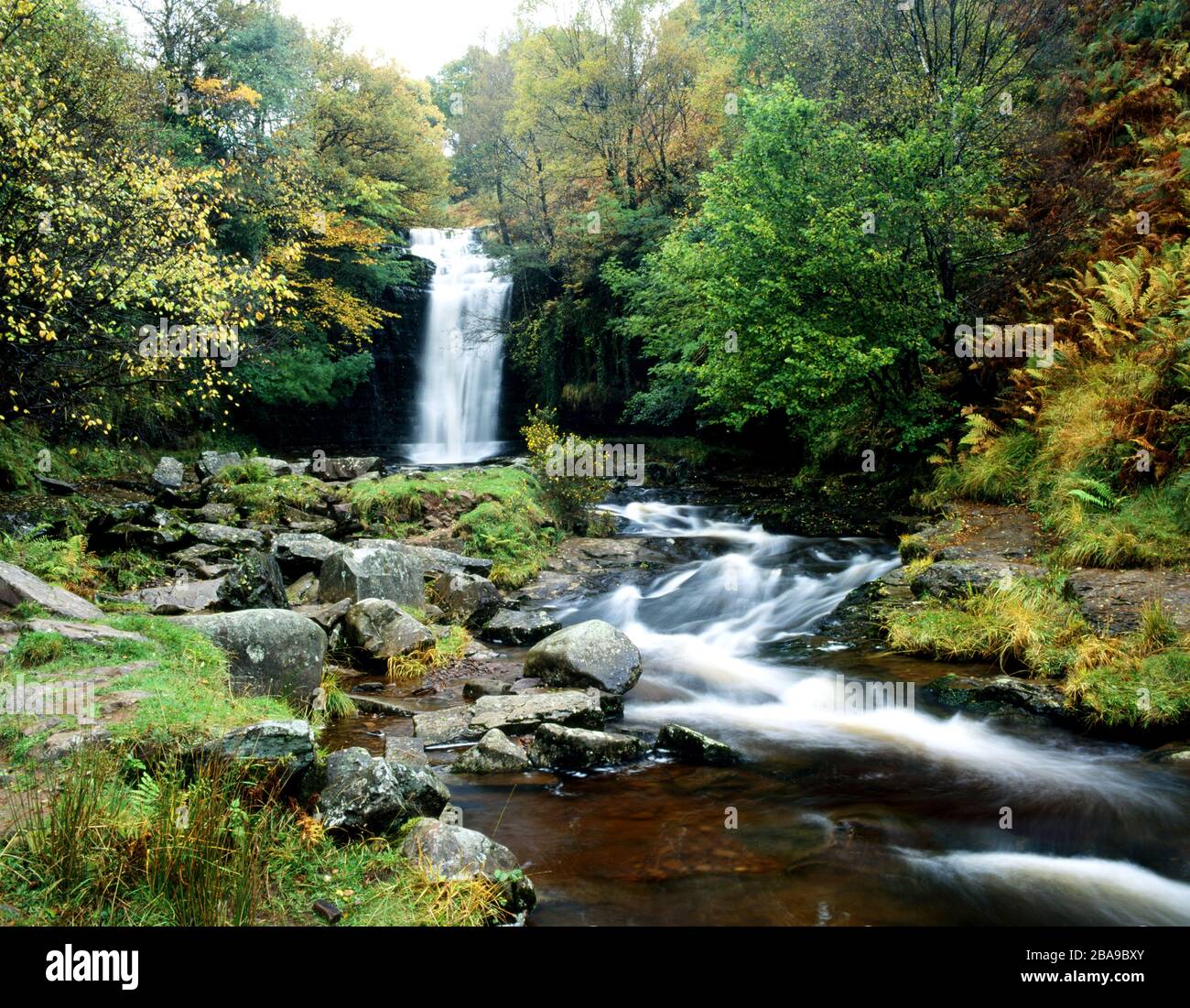 Cascada En El Río Caerfanell, Blaen Y Glyn, Parque Nacional Brecon Beacons, Powys, Gales. Foto de stock