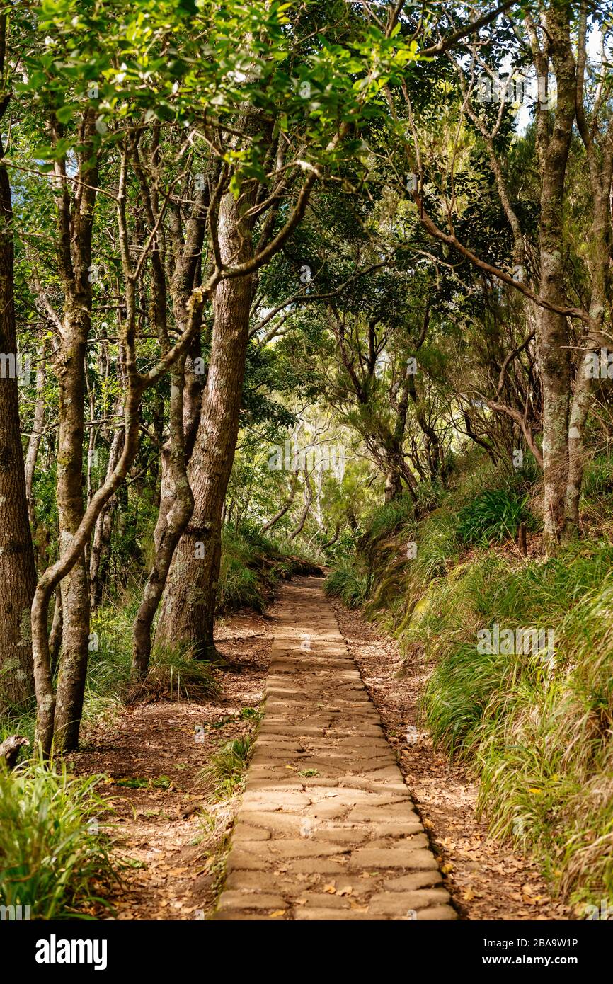 Senderos para caminatas en Madeira, Portugal Foto de stock