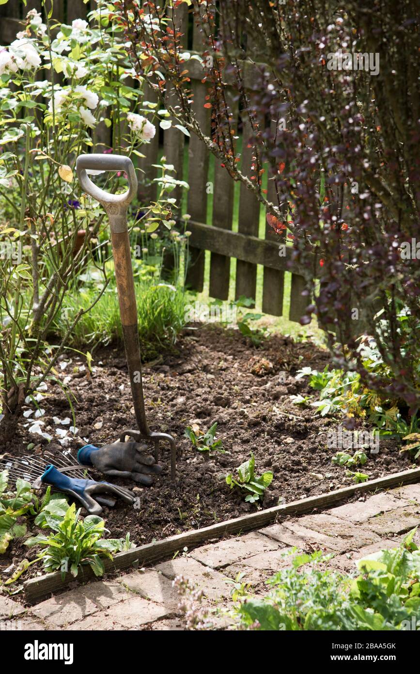 Tenedor de jardín y guantes dejados en un borde de flores Foto de stock