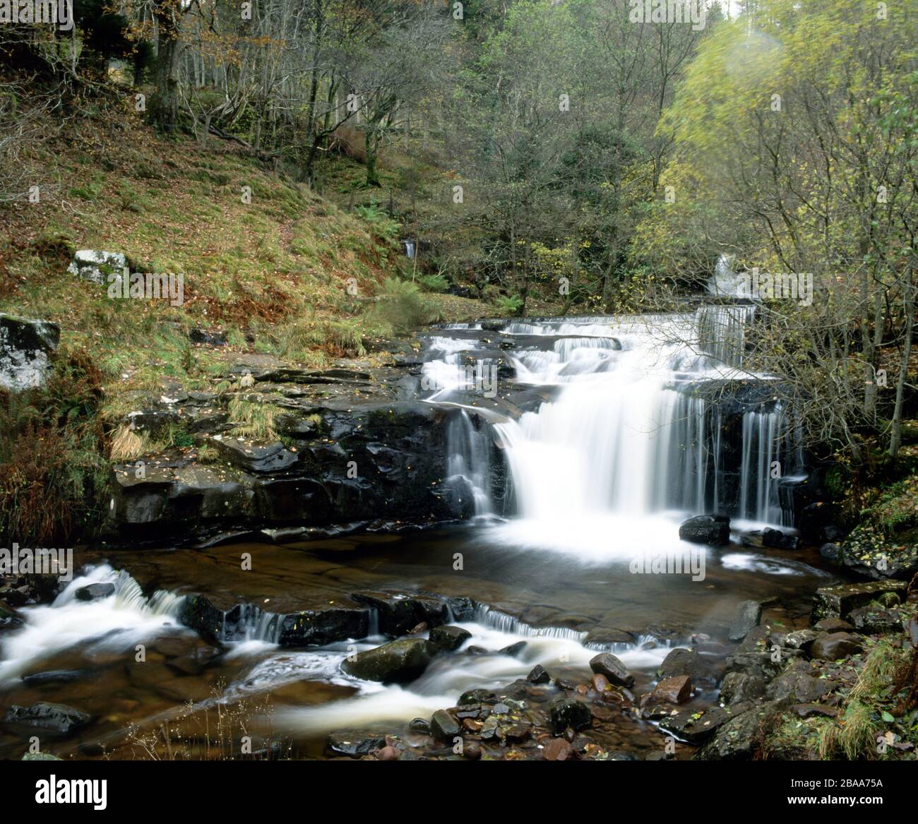 Cascada En El Río Caerfanell, Blaen Y Glyn, Parque Nacional Brecon Beacons, Powys, Gales. Foto de stock