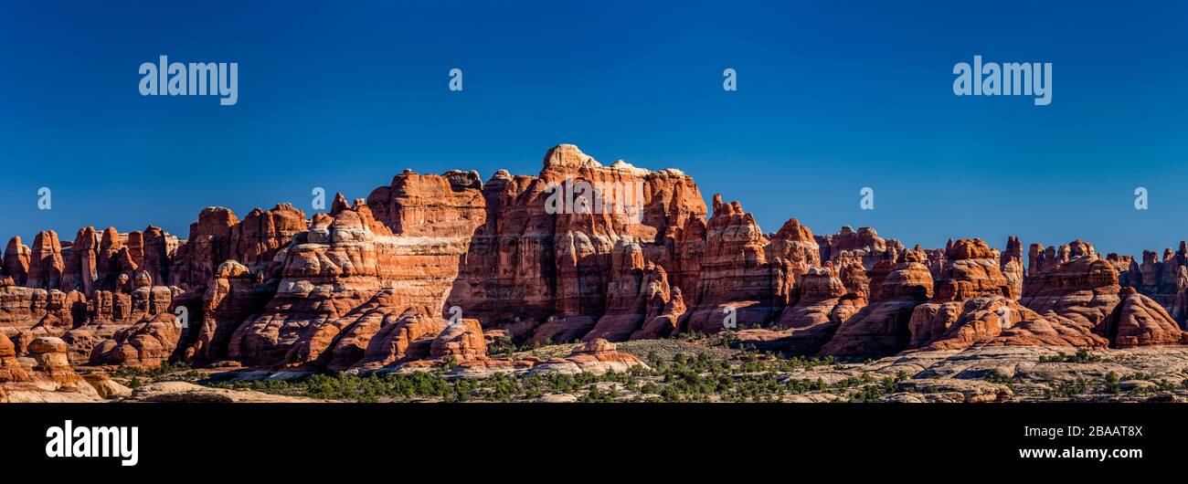 Vista de las rocas de las agujas en el Parque Nacional Canyonland, Utah, Estados Unidos Foto de stock