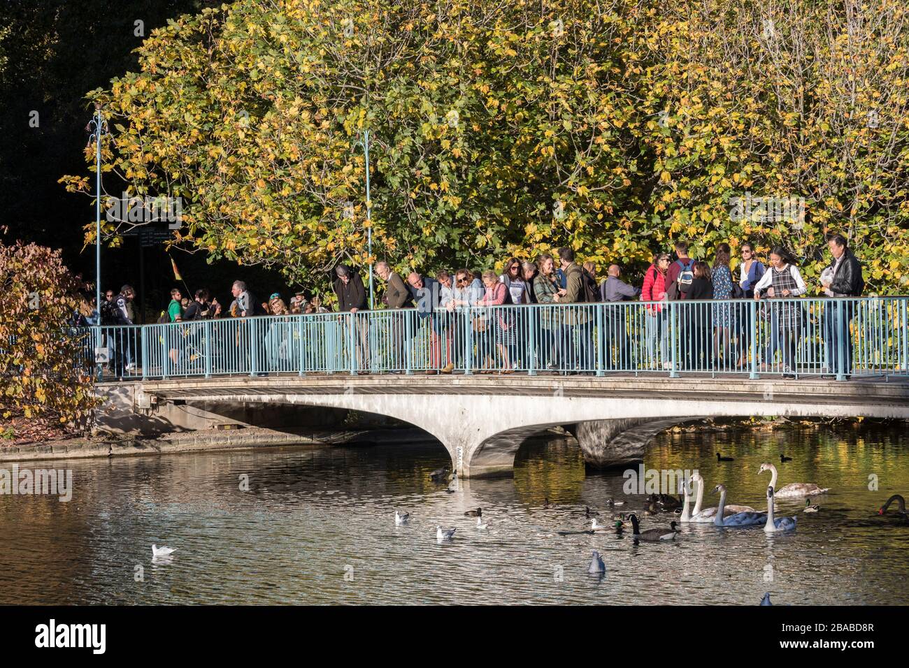 Gente en el Blue Bridge, St James's Park, Royal Parks, Londres, Inglaterra, Reino Unido Foto de stock