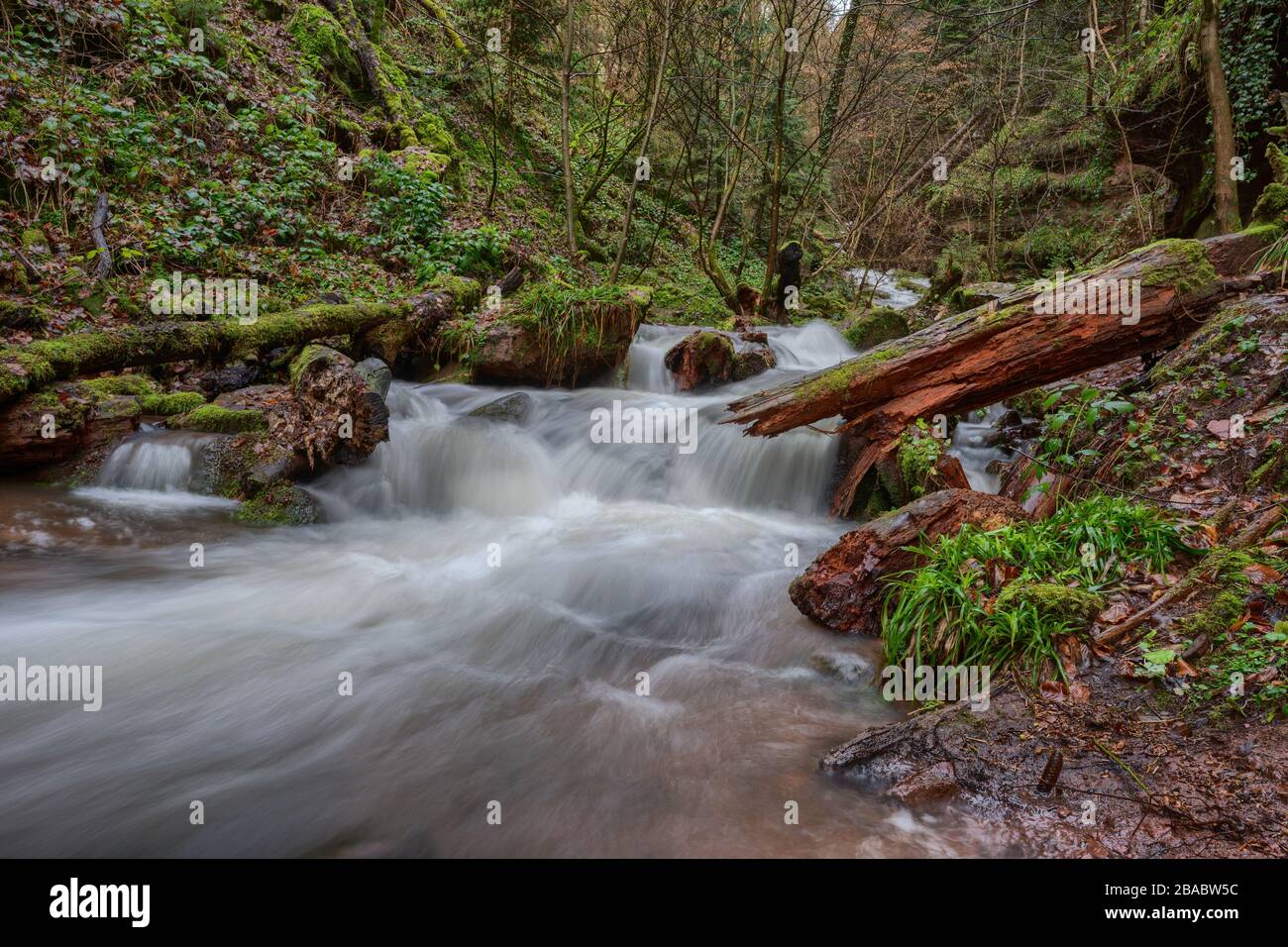 Arroyo con alto nivel de agua en el desfiladero de Wolfsschlucht cerca de Zwingenberg en Odenwald, Alemania. Foto de stock