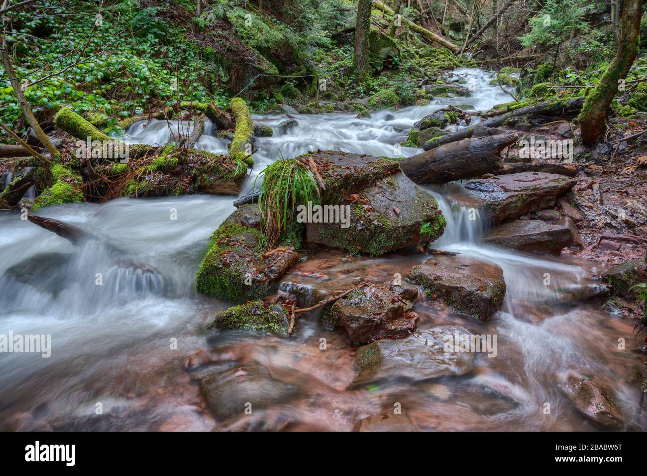 Arroyo con alto nivel de agua en el desfiladero de Wolfsschlucht cerca de Zwingenberg en Odenwald, Alemania. Foto de stock