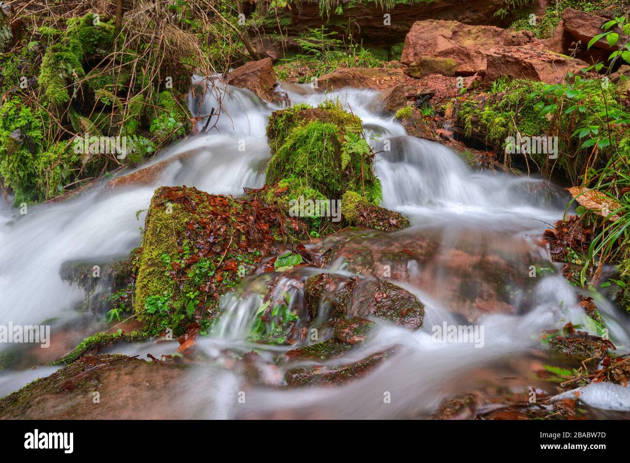 Arroyo con alto nivel de agua en el desfiladero de Wolfsschlucht cerca de Zwingenberg en Odenwald, Alemania. Foto de stock