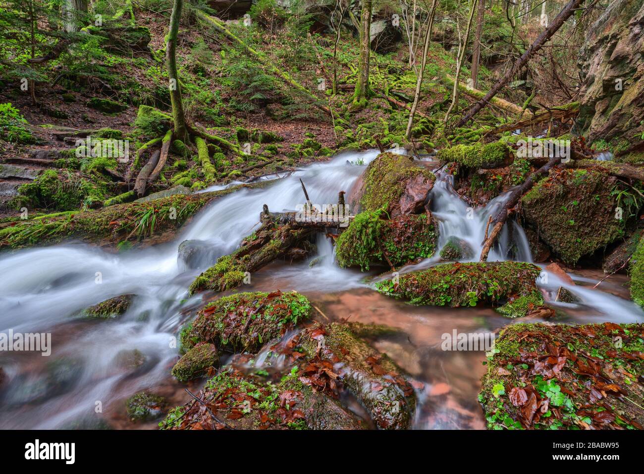 Arroyo con alto nivel de agua en el desfiladero de Wolfsschlucht cerca de Zwingenberg en Odenwald, Alemania. Foto de stock