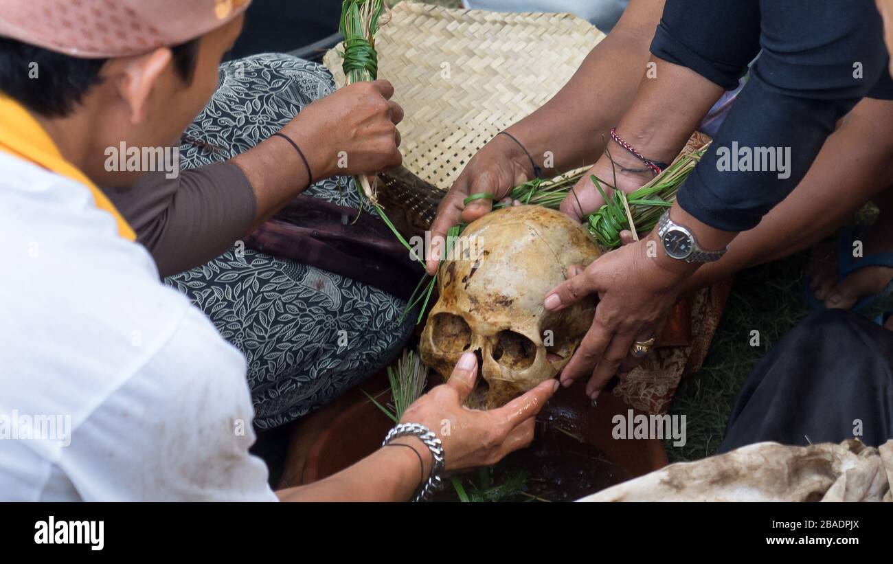 Escena durante la ceremonia de cremación balinesa (ceremonia funeraria Ngaben), limpieza de un cráneo. Funeral indonesio, Padangbai, Bali, Indonesia. Foto de stock