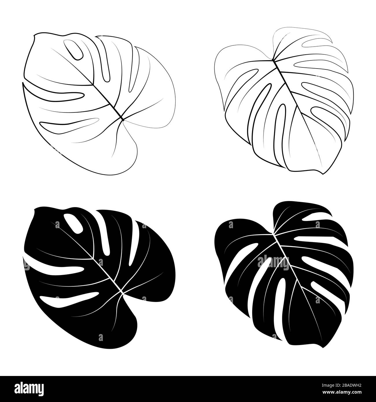 palmera hojas clipart blanco y negro