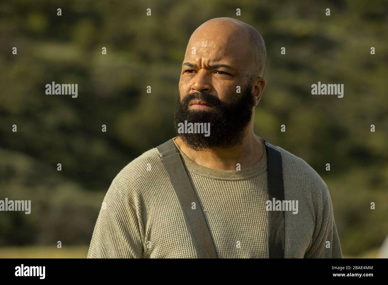 Jeffrey Wright Peliculas Y Programas De Television Jeffrey wright fotografías e imágenes de alta resolución - Alamy