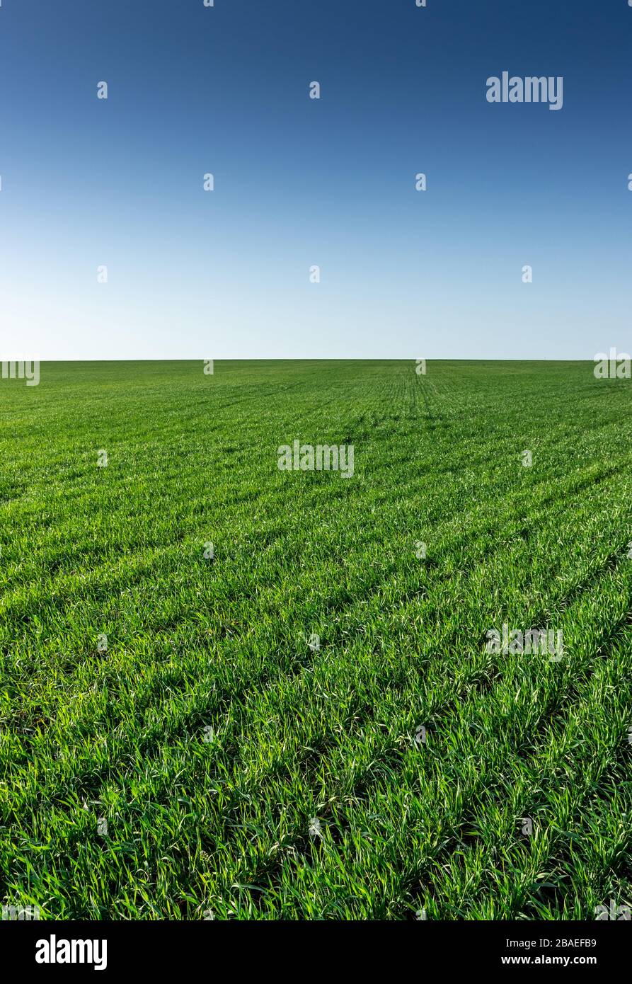 Agricultura móvil fondo de pantalla fotografías e imágenes de alta  resolución - Alamy