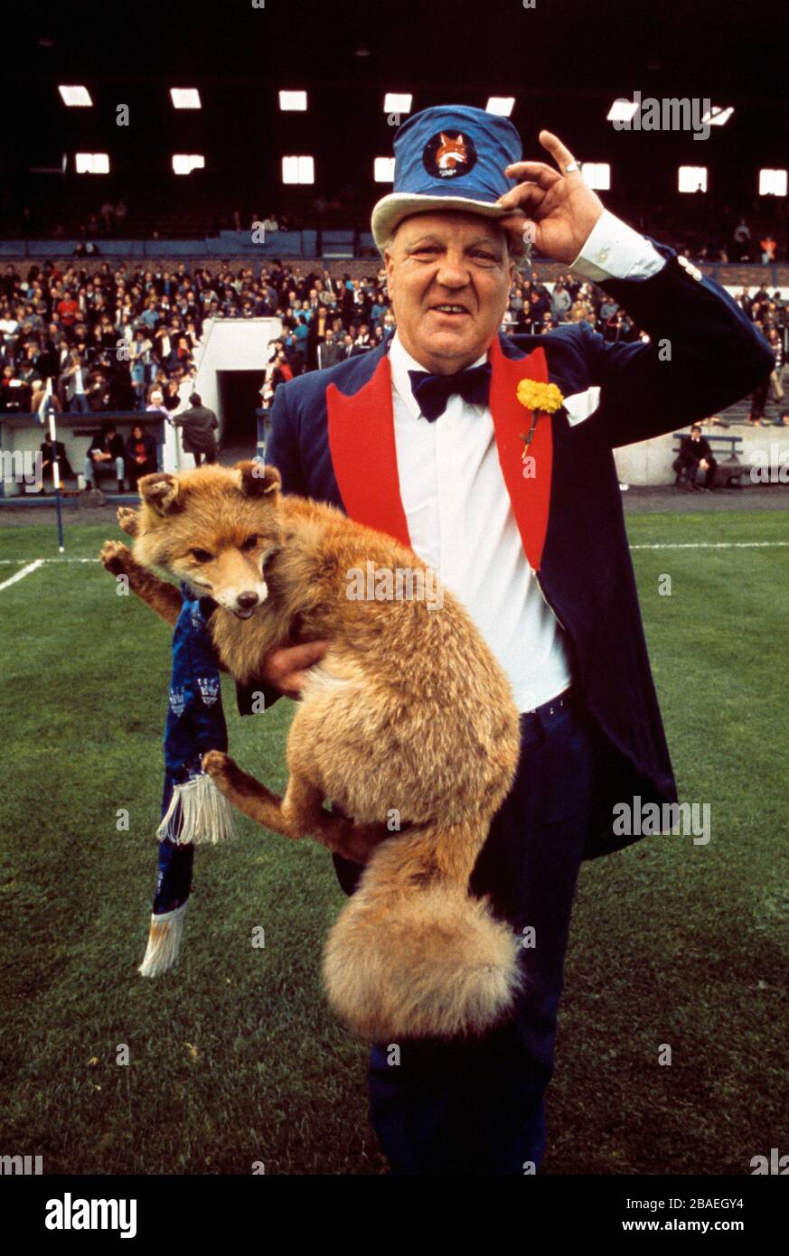 La mascota oficial de Carlisle United, George Baxter, con Olga the (rellenas) Fox Foto de stock