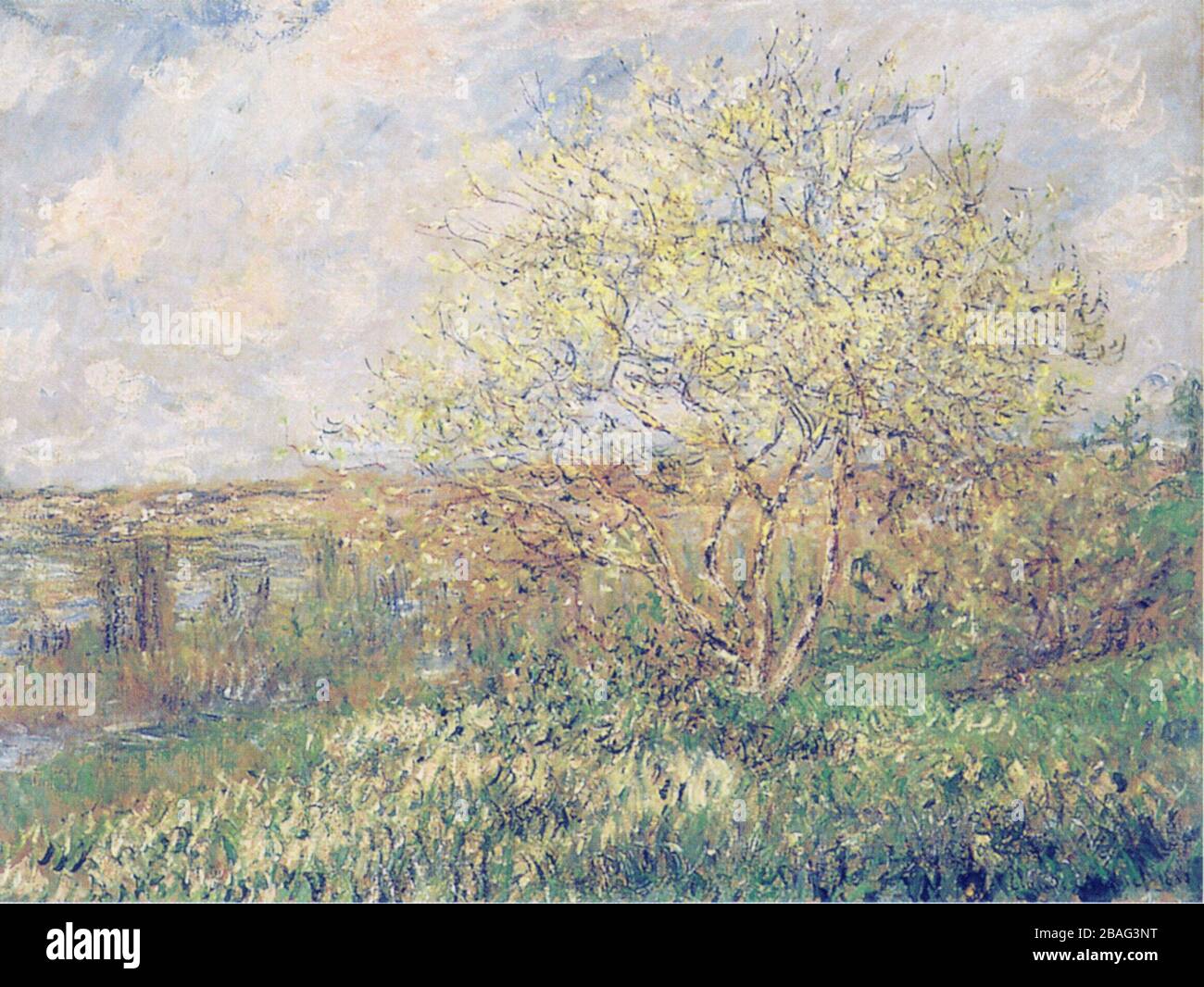 pintura, monet, arte, francia, impresionismo, claude monet, impresionista,  artista, viajes, naturaleza, agua, flor, pintor, verano, verde, jardín,  paisaje, arte, pintura, hermoso, francés, lirio, planta, casa, escénico,  turístico, estanque, abstracto ...
