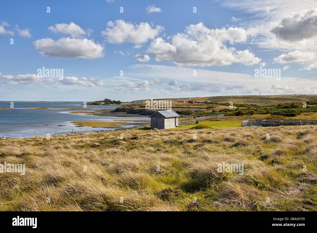 Darwin Harbour, Darwin, East Falkland, Islas Malvinas, Falklands Foto de stock