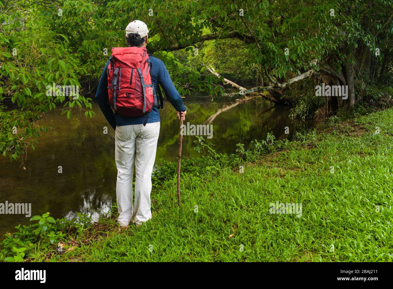 Una vista de un ecoturístico masculino con una mochila roja junto a un arroyo de agua dulce en un entorno tropical en el extremo norte de Queensland. Foto de stock