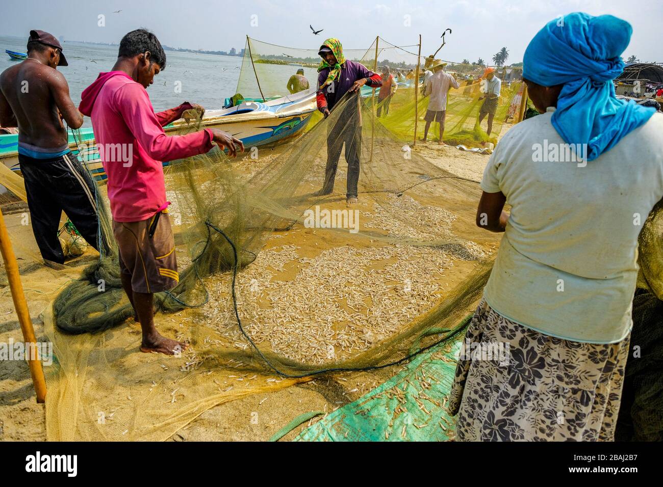 Negombo, Sri Lanka - 2020 de marzo: Los pescadores recogen peces de sus redes de pesca después de una noche de pesca el 6 de marzo de 2020 en Negombo, Sri Lanka. Foto de stock