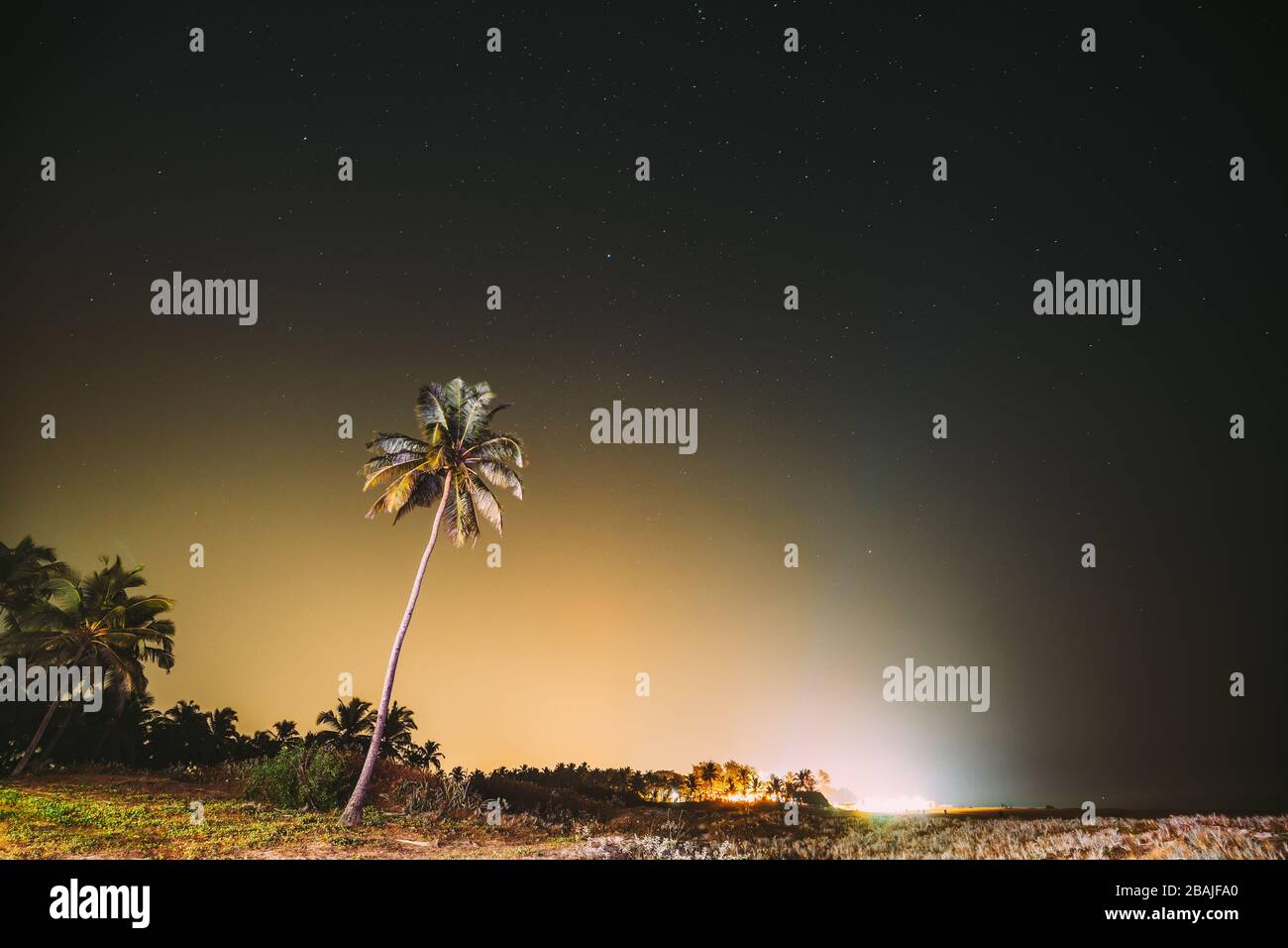 Fotos Del Cielo De Noche Reales Goa, India. Estrellas Del Cielo De La Noche Real. Palma De Coconut Tree  Sobre El Fondo Del Cielo Estrellado Natural Fotografía de stock - Alamy