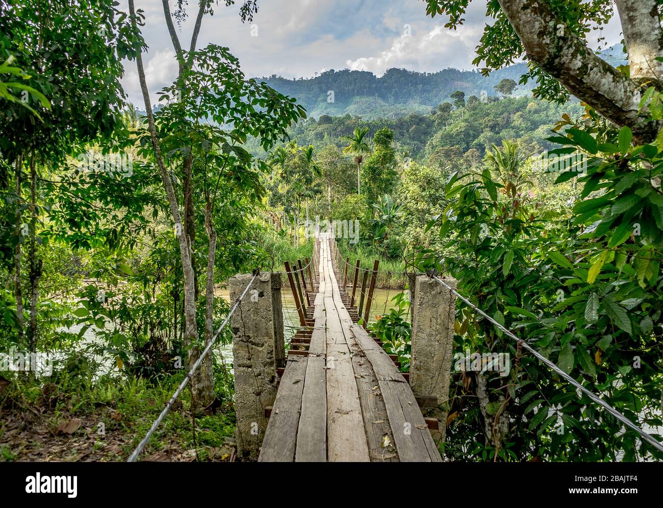 Puente colgante de madera en la selva increíble cerca de Bukit Barison cadena montañosa ecosistema Leuser en banda Aceh, Sumatra, Indonesia Foto de stock