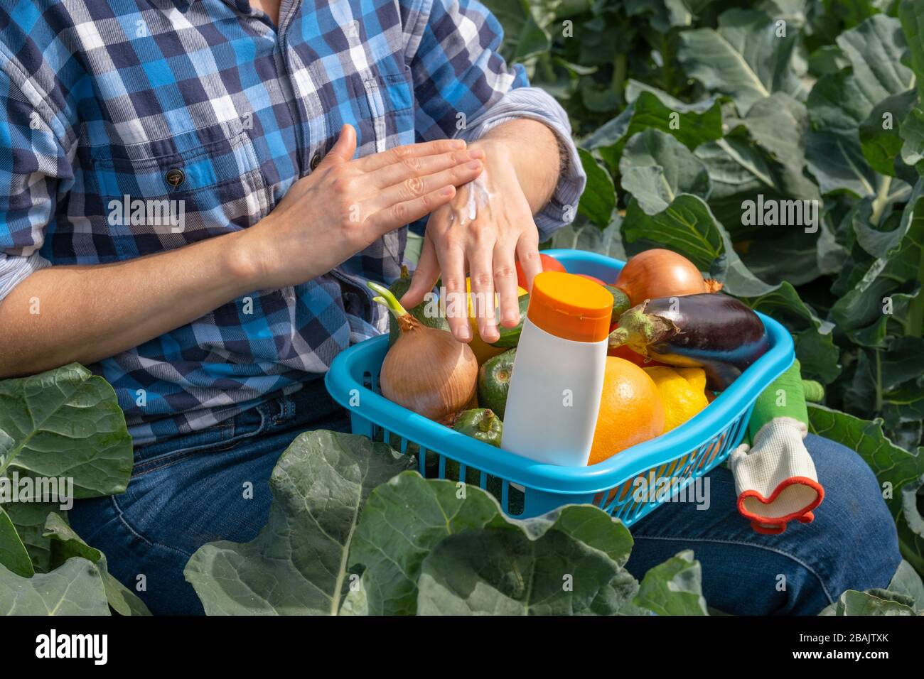 la mujer trabaja en un campo agrícola y se mancha las manos con crema solar. en una mujer regazo una cesta con verduras y un tubo blanco con protector solar Foto de stock