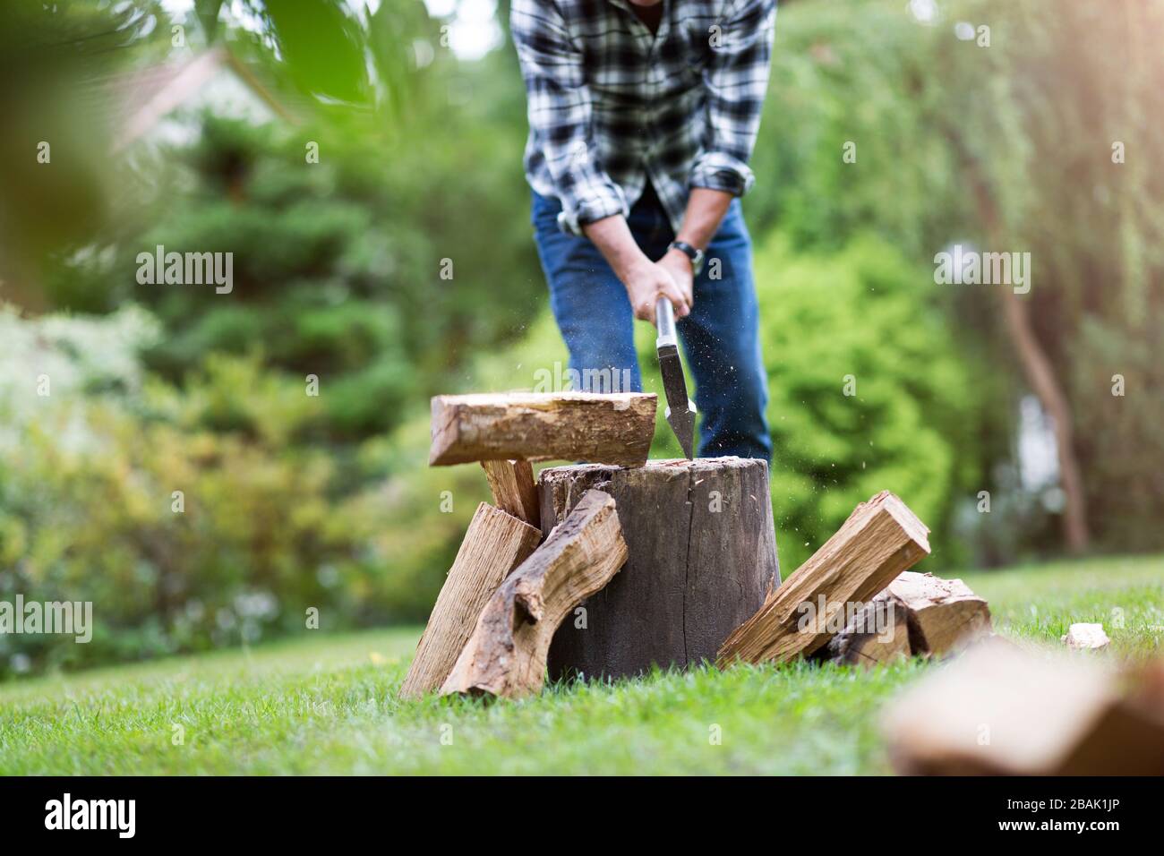 Hombre maduro trabajando en el jardín Foto de stock
