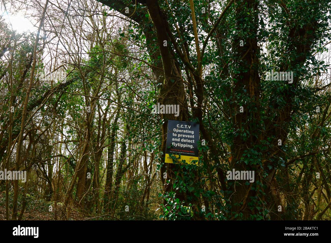 CCTV operando para prevenir y detectar el signo de Flytipping en el tronco del árbol en el bosque de Weald de Kent cerca de Tunbridge Wells, Inglaterra Foto de stock