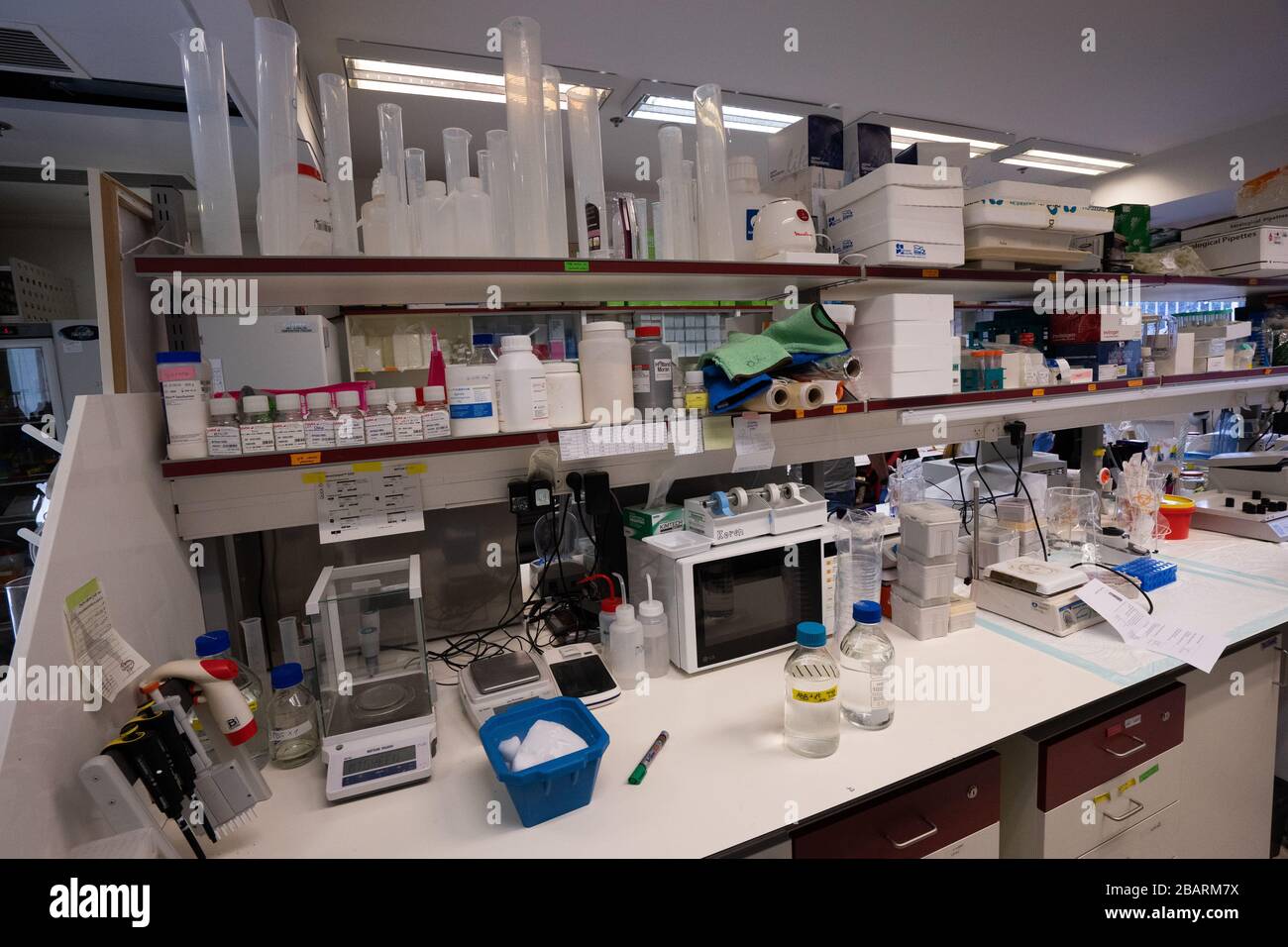Laboratorio de pruebas de virus y gérmenes Foto de stock