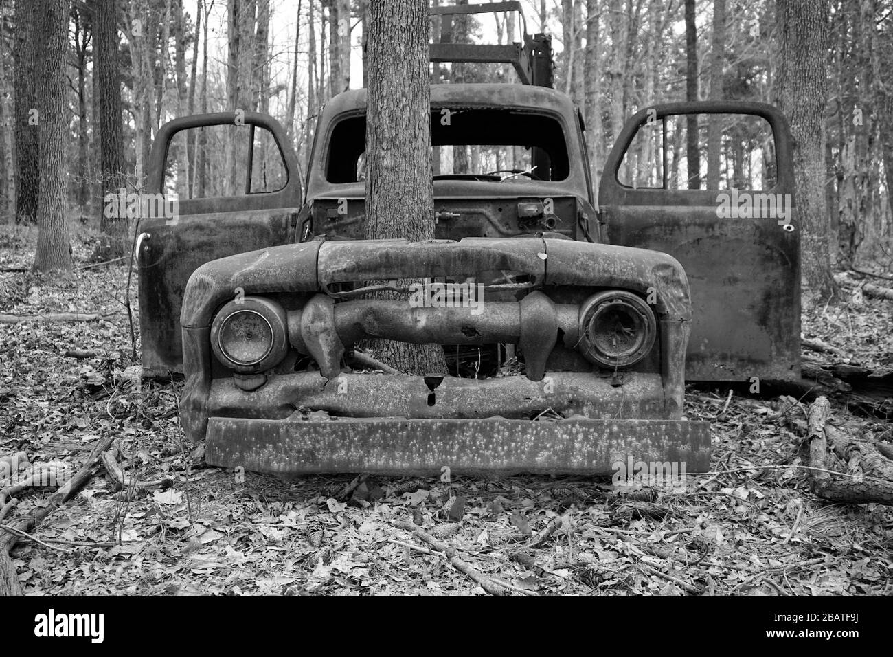 Camión viejo y oxidado abandonado con un árbol que crece a través del compartimiento del motor Foto de stock