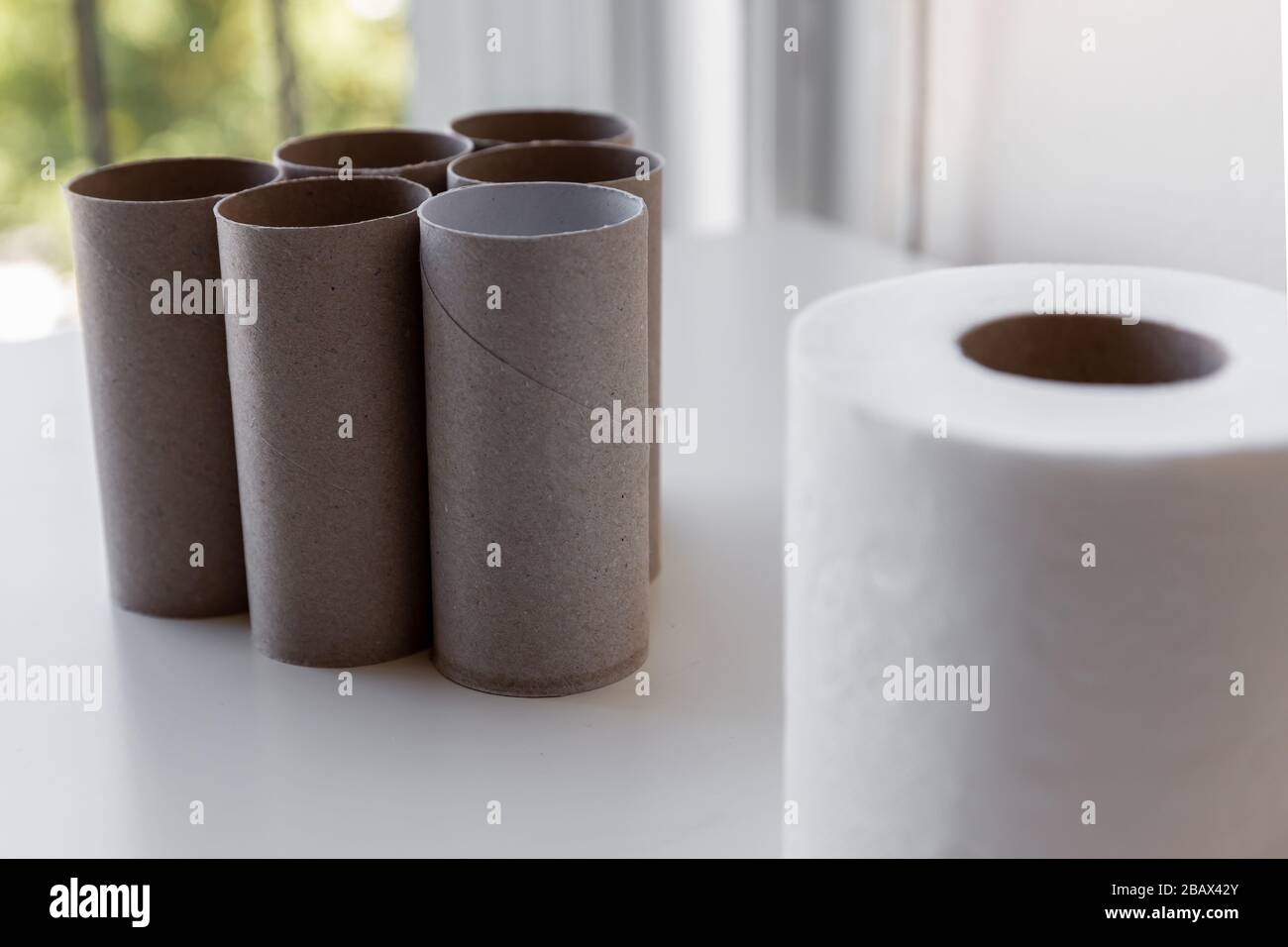 Grupo de rollos de papel higiénico vacíos están mirando el rollo completo  borroso en el primer plano en la mesa blanca Fotografía de stock - Alamy