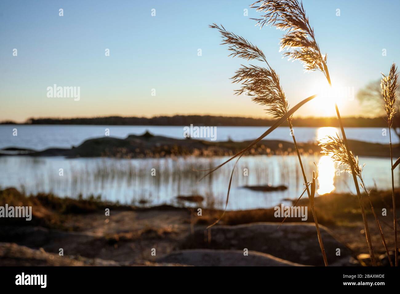Metraje de Suecia - Karlstad. Las puestas de sol y el campo encantador. Increíbles puestas de sol. Colores mágicos Foto de stock