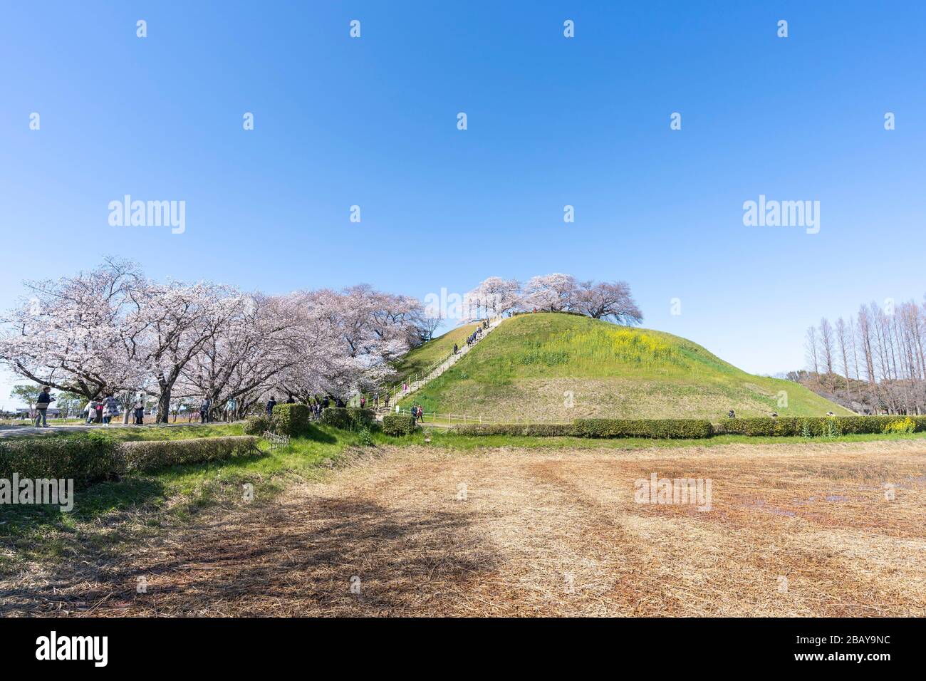 Maruyama kofun, el antiguo parque de tumbas Sakitama, la ciudad de