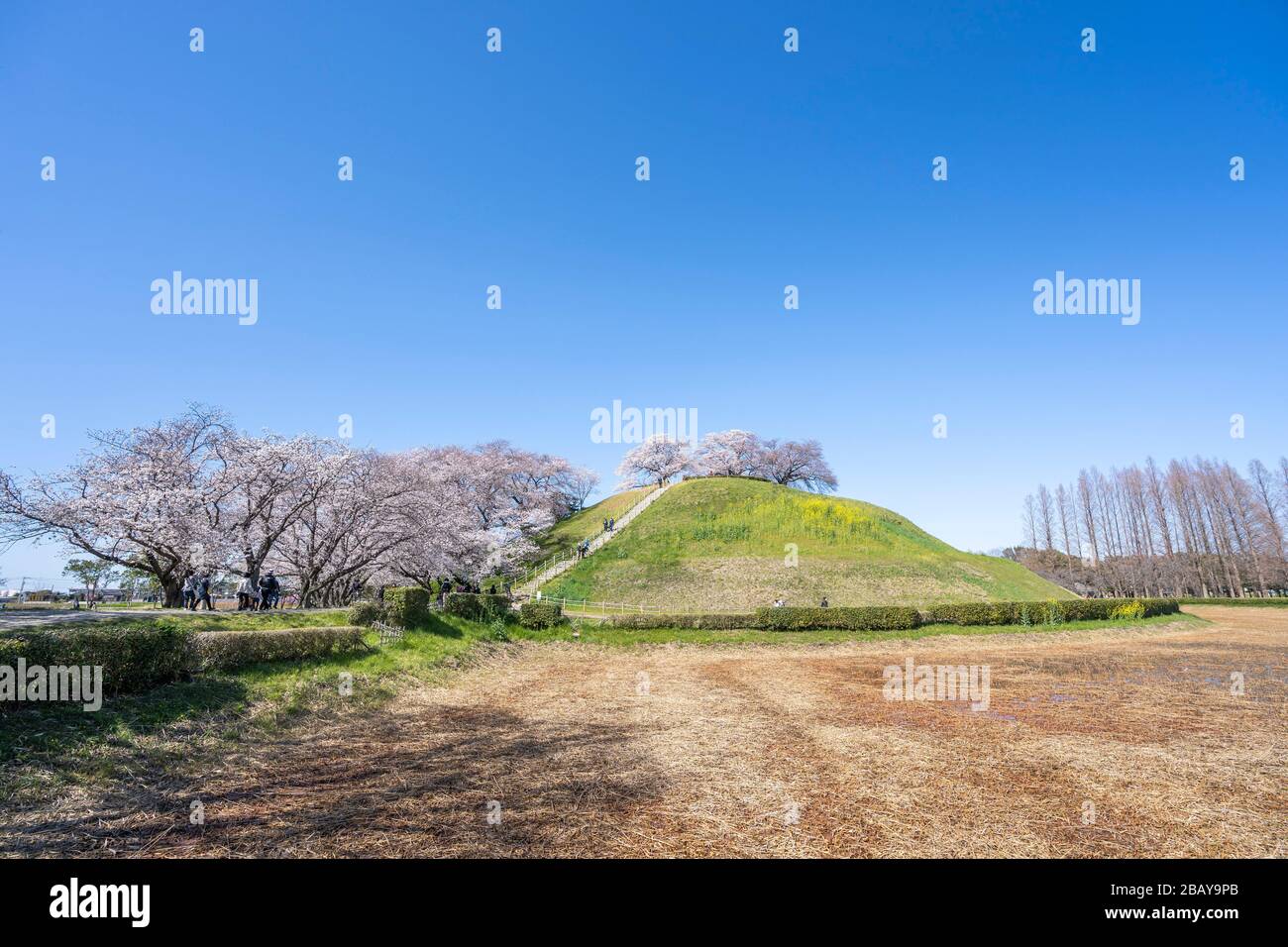 Maruyama kofun, el antiguo parque de tumbas Sakitama, la ciudad de
