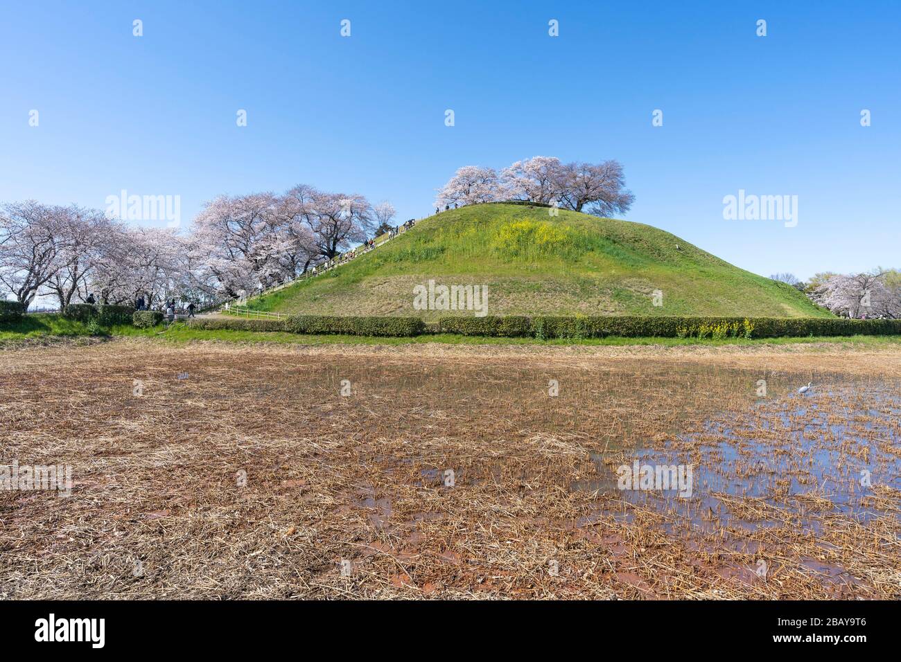 Maruyama kofun, el antiguo parque de tumbas Sakitama, la ciudad de